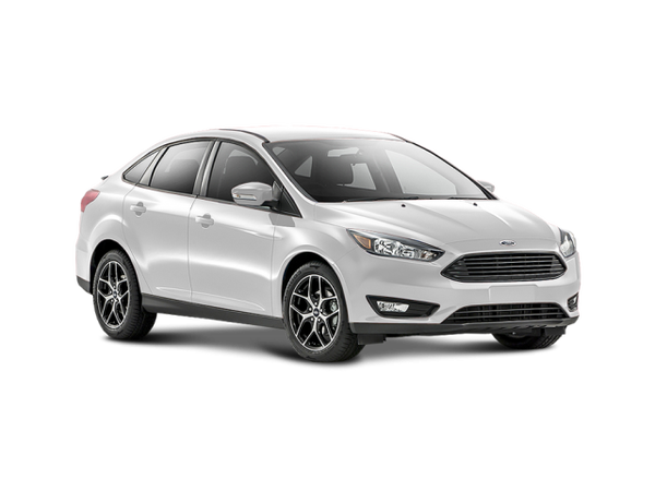 Ford Focus Cедан New Цвет: Frozen White